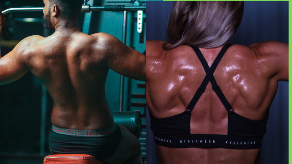 How to Build Muscle the Right Way