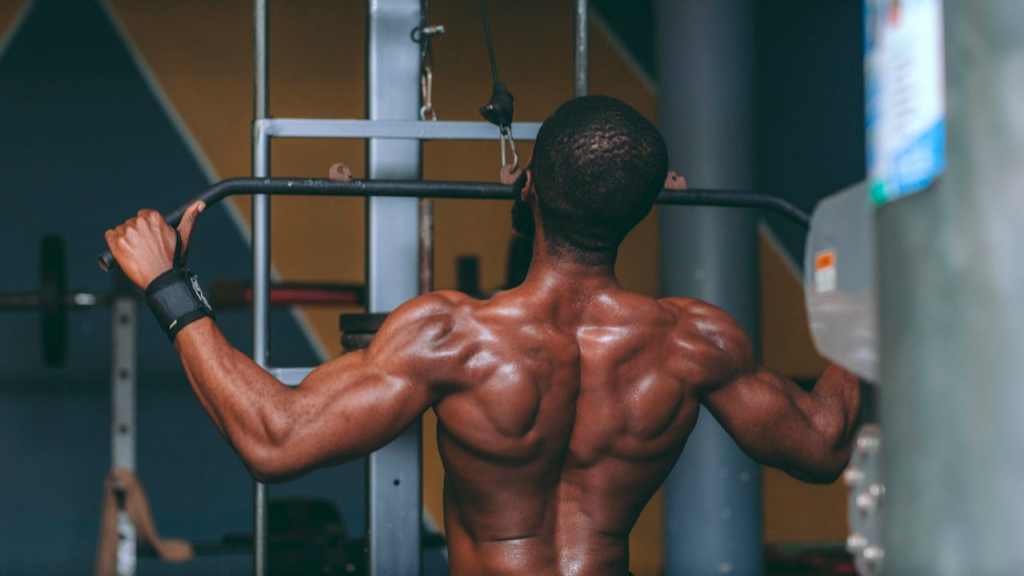 Best High Protein Foods to Prevent Muscle Loss1