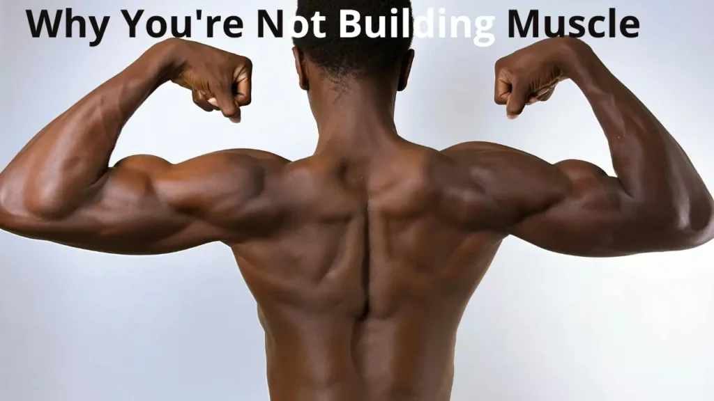 Why You're Not Building Muscle